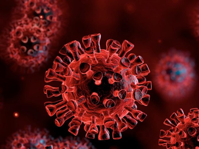Coronavirus-COVID-19-800x600