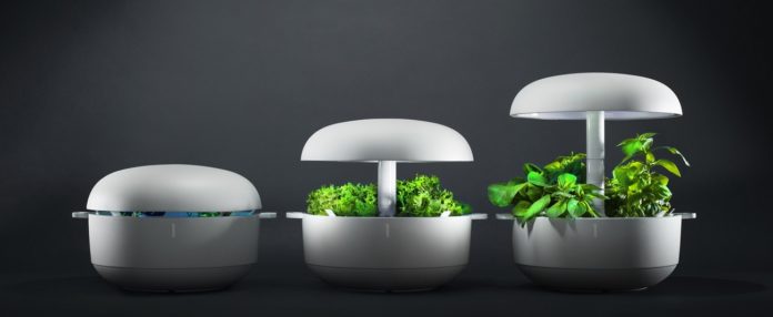 Smart-Garden-2